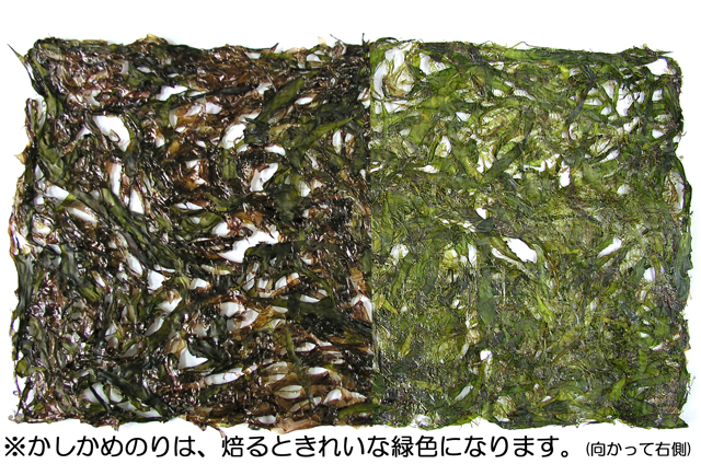 かしかめのりは焙るときれいな緑色になります。