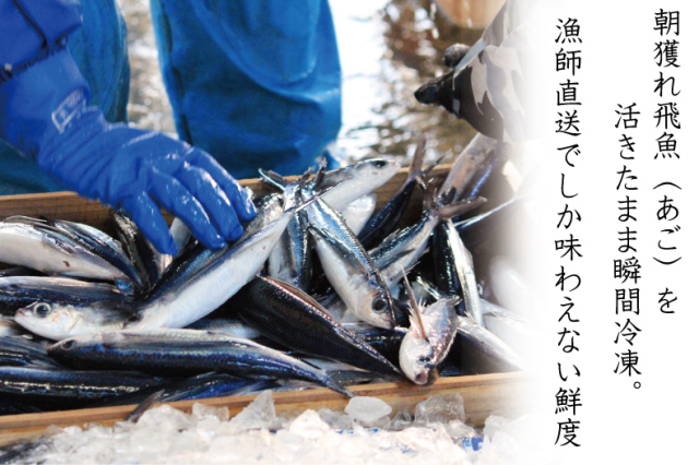 漁師直送だからこそ味わえる