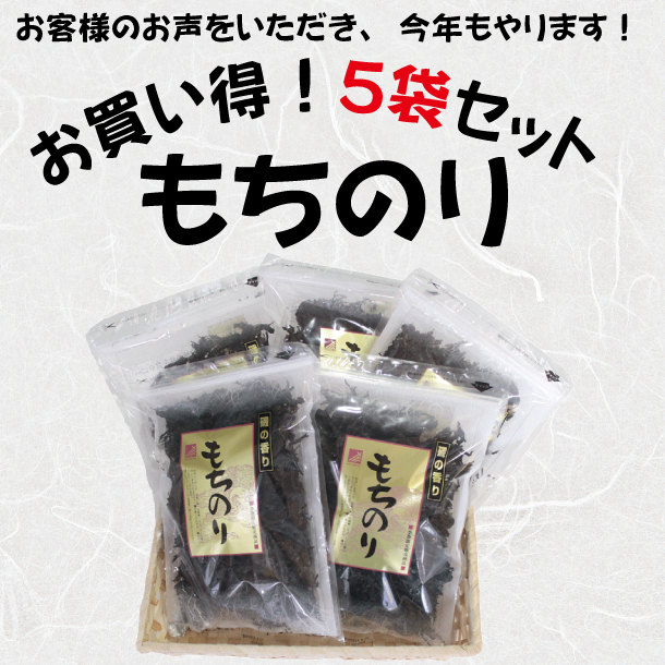 もちのり20g 5袋セット