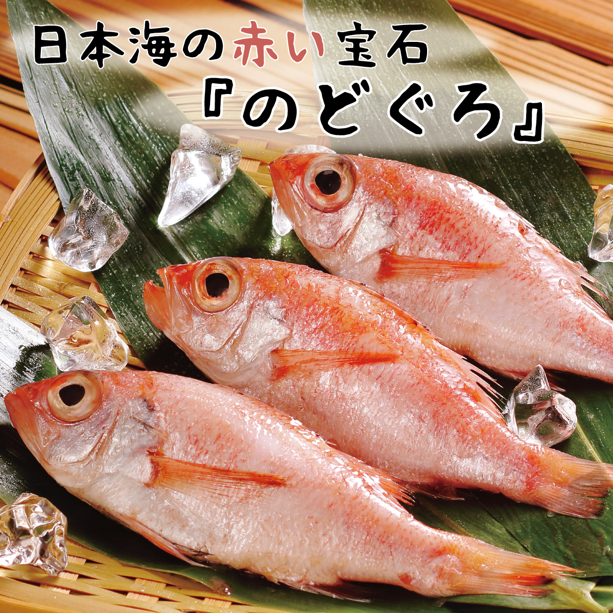 無添加 絶品のどぐろｍｙ煮干し
