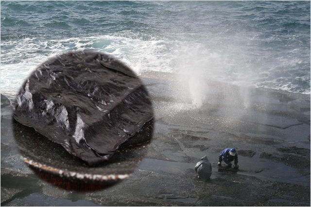 弊社の「十六島海苔」は全て天然です。
  風土記の時代、「出雲の地を海苔の産地」として有名にしたほどの逸品です。 