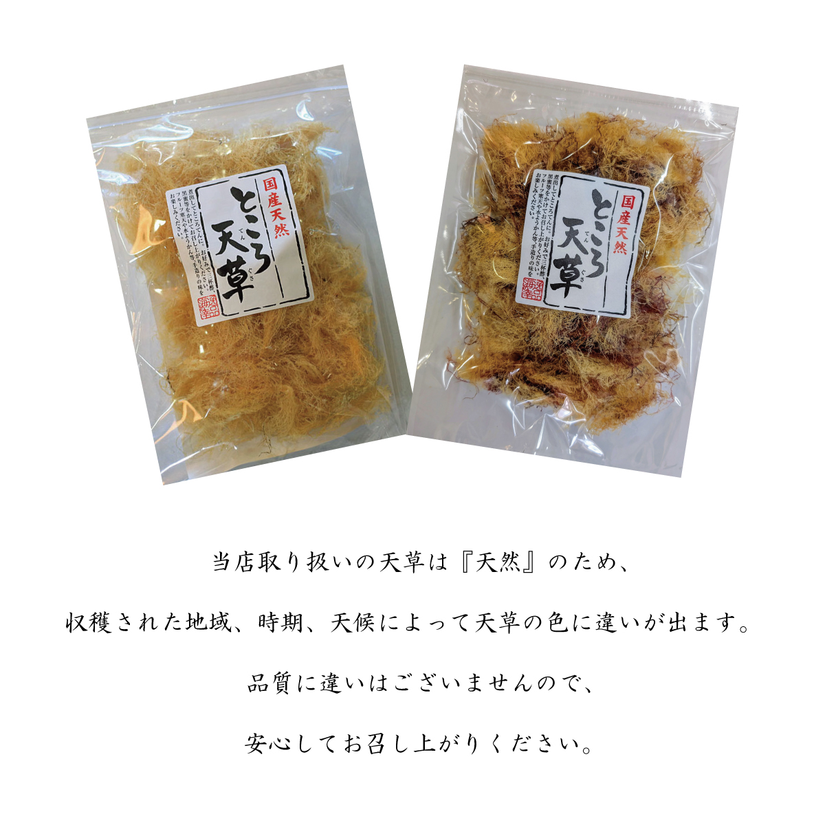 南房総産　天草　ところてん　天草　3キロ